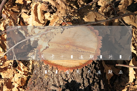 信用卡十萬逾期銀行報(bào)案怎么辦(十幾張信用卡逾期五十萬)