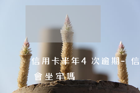 信用卡半年4次逾期-信用卡半年4次逾期會坐牢嗎
