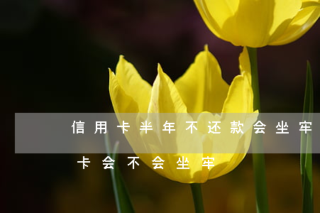 信用卡半年不还款会坐牢吗(长期还不上信用卡会不会坐牢)