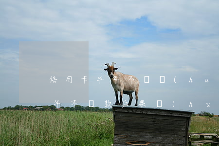 信用卡半年不還會(huì)怎樣(信用卡半年不還款后果會(huì)怎么樣)
