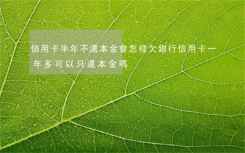 信用卡半年不還本金會怎樣(欠銀行信用卡一年多可以只還本金嗎)