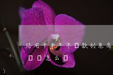 信用卡半年不還款利息高嗎(欠信用卡兩年不還會怎么樣)