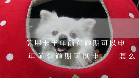 信用卡半年前有逾期可以申請嗎-信用卡半年前有逾期可以申請嗎怎么辦