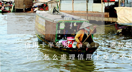 信用卡半年沒(méi)還款銀行會(huì)怎么處理(信用卡半年不還款后果會(huì)怎么樣)