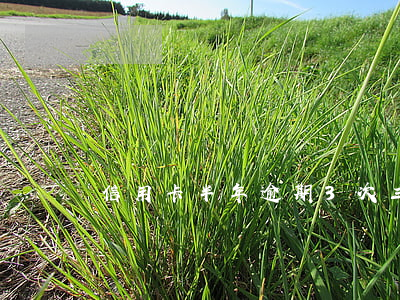 信用卡半年逾期3次(三个月信用卡逾期后果)