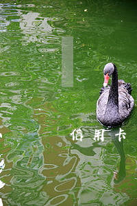 信用卡半年逾期三萬(三千塊信用卡逾期兩年)