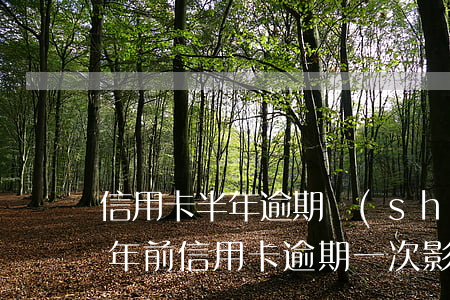 信用卡半年逾期數(shù)據(jù)(半年前信用卡逾期一次影響貸款嗎)