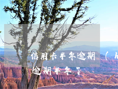信用卡半年逾期會(huì)怎么樣(信用卡逾期半年了)