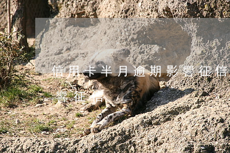 信用卡半月逾期影響征信(信用卡半月逾期影響征信)
