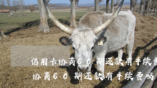 信用卡协商60期还款有手续费吗-信用卡协商60期还款有手续费吗怎么算