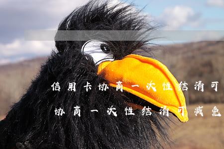 信用卡协商一次性结清可减免多少-信用卡协商一次性结清可减免多少违约金