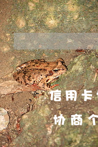 信用卡协商个性化分期后没有还上-信用卡协商个性化分期后没有还上怎么办