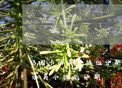 信用卡协商个性化分期话术-怎么和信用卡协商个性化分期