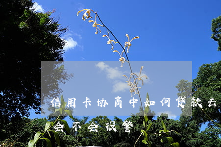 信用卡协商中如何贷款(去协商信用卡还款时会不会报警)