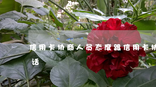 信用卡协商人员态度(跟信用卡协商打哪个电话)