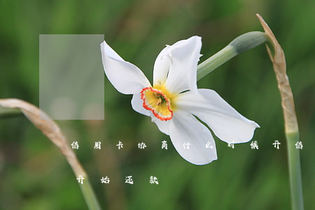 信用卡协商什么时候开(信用卡协商什么时候开始还款)