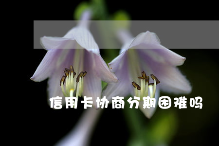 信用卡协商分期困难吗