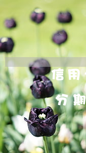 信用卡协商分期怎么操作 怎样写信用卡协商分期还款申请书