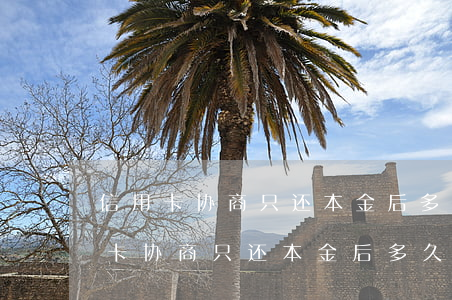 信用卡协商只还本金后多久可以销卡-信用卡协商只还本金后多久可以销卡还能查吗
