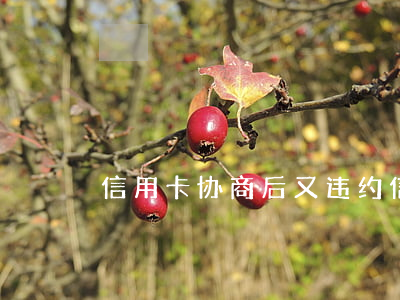 信用卡协商后又违约(信用卡 逾期 协商)