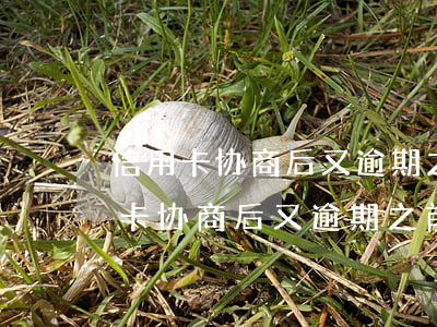 信用卡协商后又逾期之前还的怎么算-信用卡协商后又逾期之前还的怎么算违约金