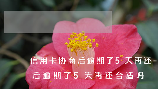 信用卡协商后逾期了5天再还-信用卡协商后逾期了5天再还合适吗