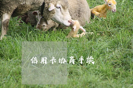 信用卡协商手续