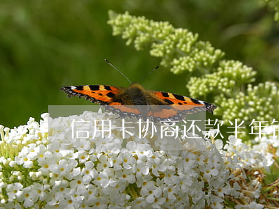 信用卡协商还款半年销卡是真的吗
