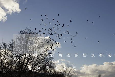 信用卡协商还款协议有法律效力吗-跟信用卡协商还款范本