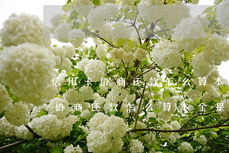 信用卡协商还款怎么算本金是多少-信用卡协商还款怎么算本金是多少钱