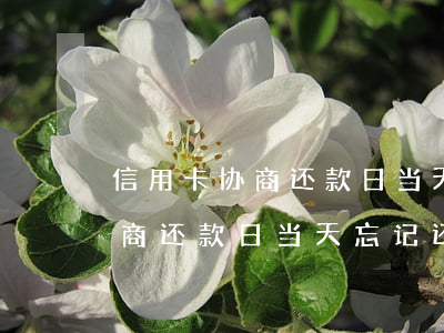 信用卡协商还款日当天忘记还了?-信用卡协商还款日当天忘记还了怎么办
