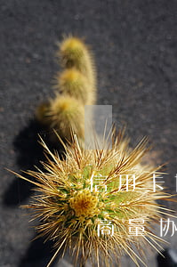 信用卡协商还款逾期怎么处理-怎么与银行商量协商信用卡逾期还款事宜