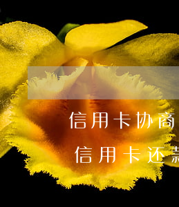 信用卡协商还款里有好多霸王条款-去协商信用卡还款时会不会报警