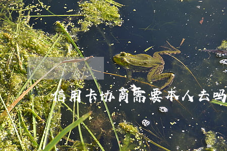 信用卡协商需要本人去吗