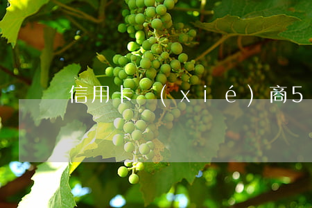 信用卡協(xié)商5年