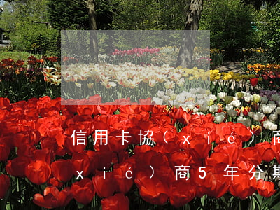 信用卡協(xié)商5年分期(信用卡協(xié)商5年分期)