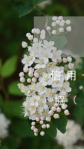 信用卡協(xié)商8種情況 信用卡 逾期 協(xié)商