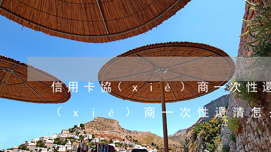 信用卡協(xié)商一次性還清(信用卡協(xié)商一次性還清怎么還)