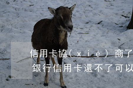 信用卡協(xié)商了不能掛賬停息(請問銀行信用卡還不了可以停息掛賬不)