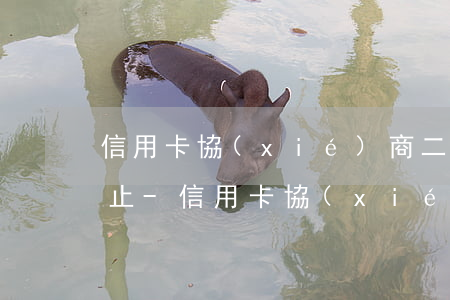 信用卡協(xié)商二次還款逾期能否停止-信用卡協(xié)商二次還款逾期能否停止還款