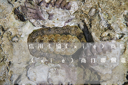 信用卡協(xié)商信訪樣本(跟信用卡協(xié)商打哪個電話)