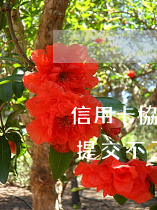 信用卡協(xié)商個(gè)性化分期提交不了證明怎么辦-信用卡協(xié)商個(gè)性化分期提交不了證明怎么辦