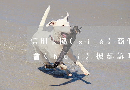 信用卡協(xié)商個(gè)性化分期會(huì)被起訴嗎-協(xié)商個(gè)性化分期影響征信嗎