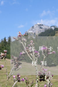 信用卡協(xié)商個性化分期需要什么材料-信用卡協(xié)商個性化分期需要什么材料呢