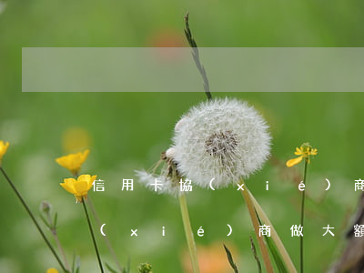 信用卡協(xié)商做大額分期(信用卡協(xié)商做大額分期可以嗎)