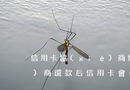 信用卡協(xié)商停息光大 協(xié)商還款后信用卡會(huì)終身停用嗎