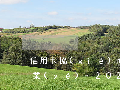 信用卡協(xié)商停息掛賬怎么處理興業(yè)-2020年信用卡停息掛賬申請辦法