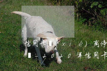 信用卡協(xié)商停息掛賬方法真的好嗎-2020年信用卡停息掛賬申請辦法