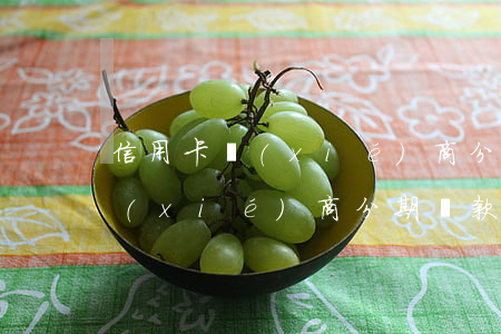 信用卡協(xié)商分期依據(jù)(協(xié)商分期還款后信用卡還能用嗎)