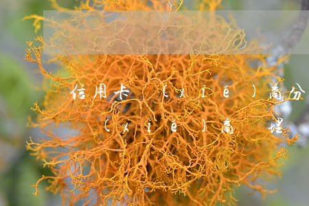 信用卡 協(xié)商分期（信用卡分期怎么協(xié)商辦理）